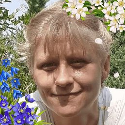 , 44, 