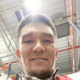 , 37, 