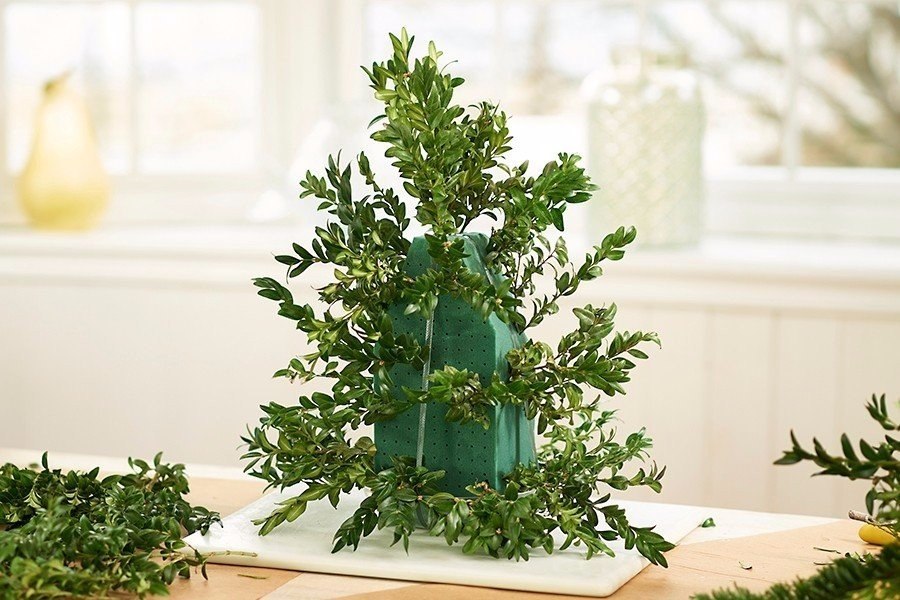 ��� ������� ����-������ ������ ������ - 6