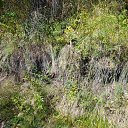 ���� ���������, �������, 41 ��� - ��������� 2 ������ 2024 � ������ ������� ������ܻ