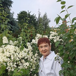 ���� �����, ������ - ��������� 28 ���� 2025