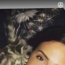 ���� �����, ������ ��������, 37 ��� - ��������� 25 ������� 2026