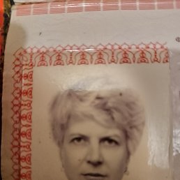 , 58, 