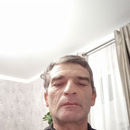 , 44, 