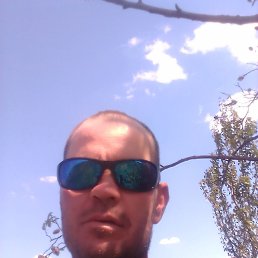 , 42, 