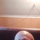 ���� ������� ���������, ������ ��������, 51 ��� - ��������� 25 ����� 2024 � ������ ���� ����������