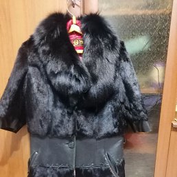 ������, �����-���������, 26 ���