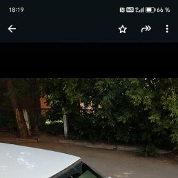 ���� �����, ����������, 49 ��� - ��������� 19 ������ 2026