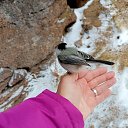 ���� �����, ����������, 51 ��� - ��������� 23 ������ 2025