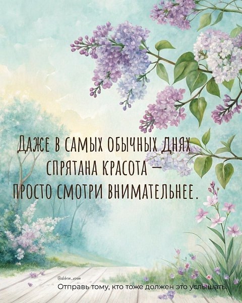  - 15  2025  18:22