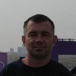 �����, �����������, 41 ���