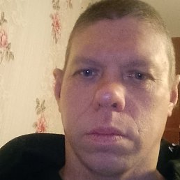 ������, �����, 41 ���