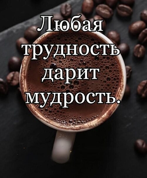  - 29  2024  19:10