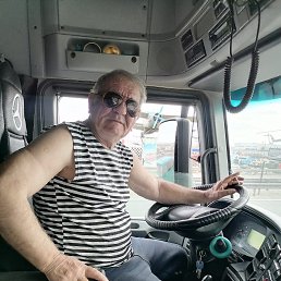 , 65, 