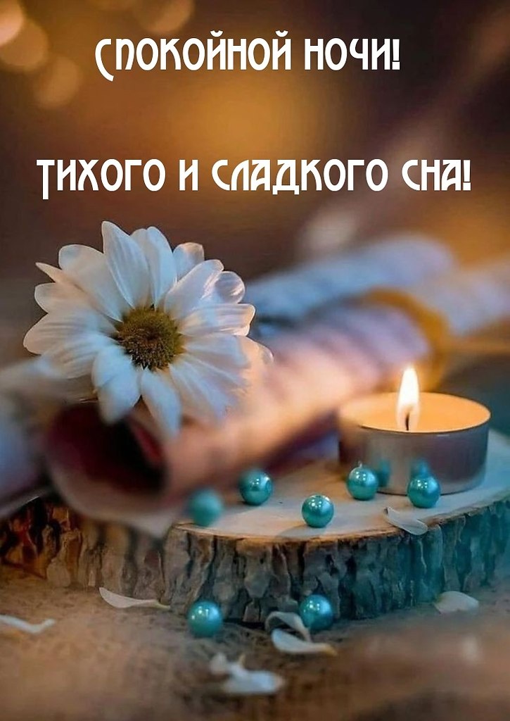   ,    . - 17  2024  21:32