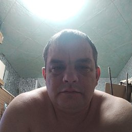 ������, 39 ���, ���������