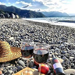 ���� ������, �������, 55 ��� - ��������� 11 ������� 2023