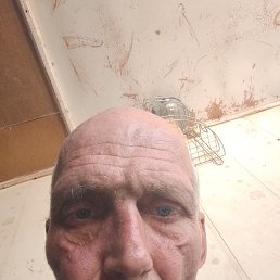, 47 , 