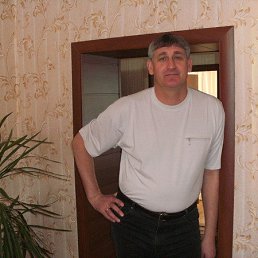 , 61, 