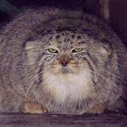 ���� ������, ��������, 59 ��� - ��������� 10 ������ 2023