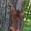 ���� ��������, �����-��������� - ��������� 17 ���� 2025