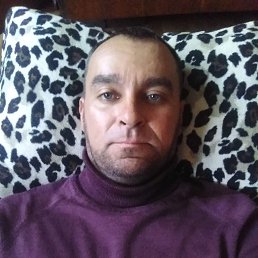 , 48, 