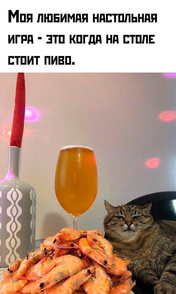  - 3  2025  12:08