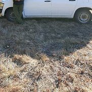 ������, 47 ���, ����