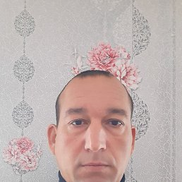 �������, ������, 39 ���