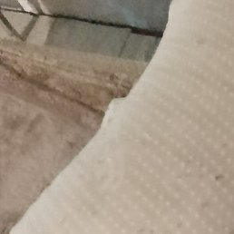 ���������, ������, 38 ���