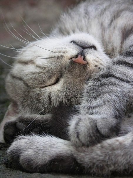 Стихи и цитаты - 21 сентября 2025 в 12:42