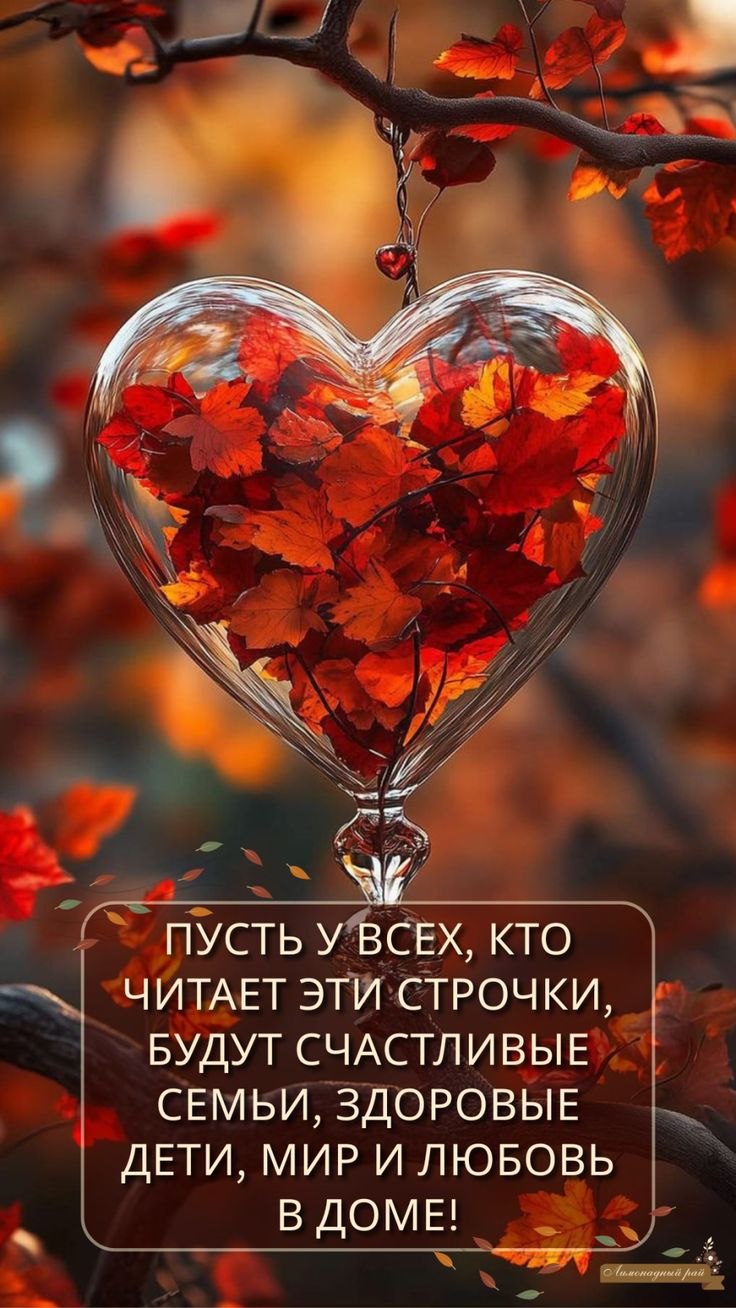 ���� - 5 ������� 2025 � 16:11