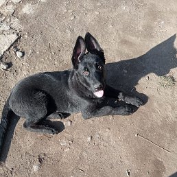 ���� ��������, ������, 51 ��� - ��������� 15 ������ 2023