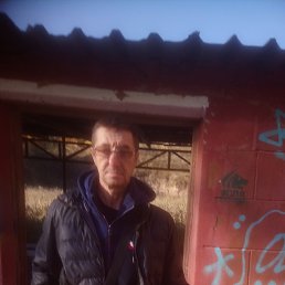 ����, 55 ���, ����������