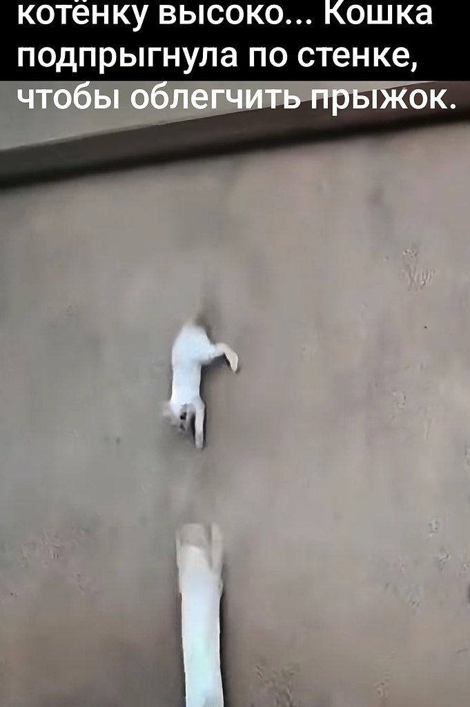 ���� ���� ��������. - 2
