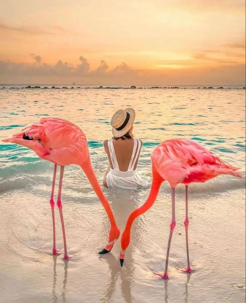 ..   ,    ..,  m , m m ..   , ...