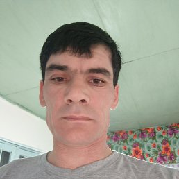 , 41, 