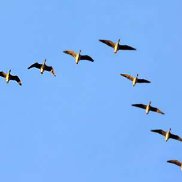 Марианна, 37 лет, Казань Марианна, 37 лет, Казань