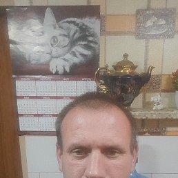 ������, 41 ���, ���������