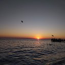 ���� �����, ��������� - ��������� 2 ������� 2026 � ������ ������ ��������