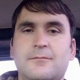 , 33 , 