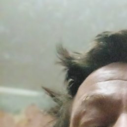 ������, ������, 51 ���