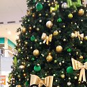 ���� �����, ���������, 70 ��� - ��������� 23 ������� 2024 � ������ ���� ����������