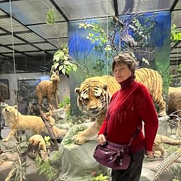 �����, ������, 68 ���