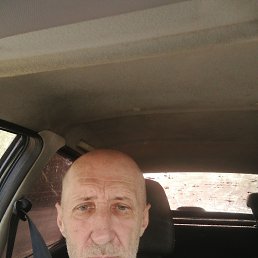 , 54, 