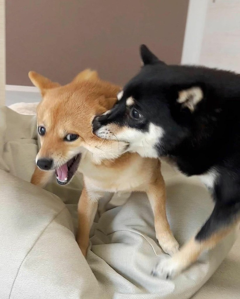    ?