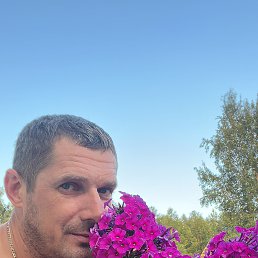 , 41, 