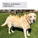 ���� ������, ������, 21 ��� - ��������� 4 ������� 2025 � ������ ���� ����������