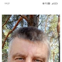 ��������, 41 ���, ���������