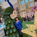 ���� ��������, �������, 54 ���� - ��������� 15 ������ 2024 � ������ ���� ����������